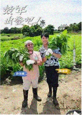 铁道游击队影视城书场与说书人布景